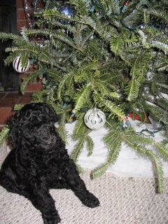 Emma's First New Year