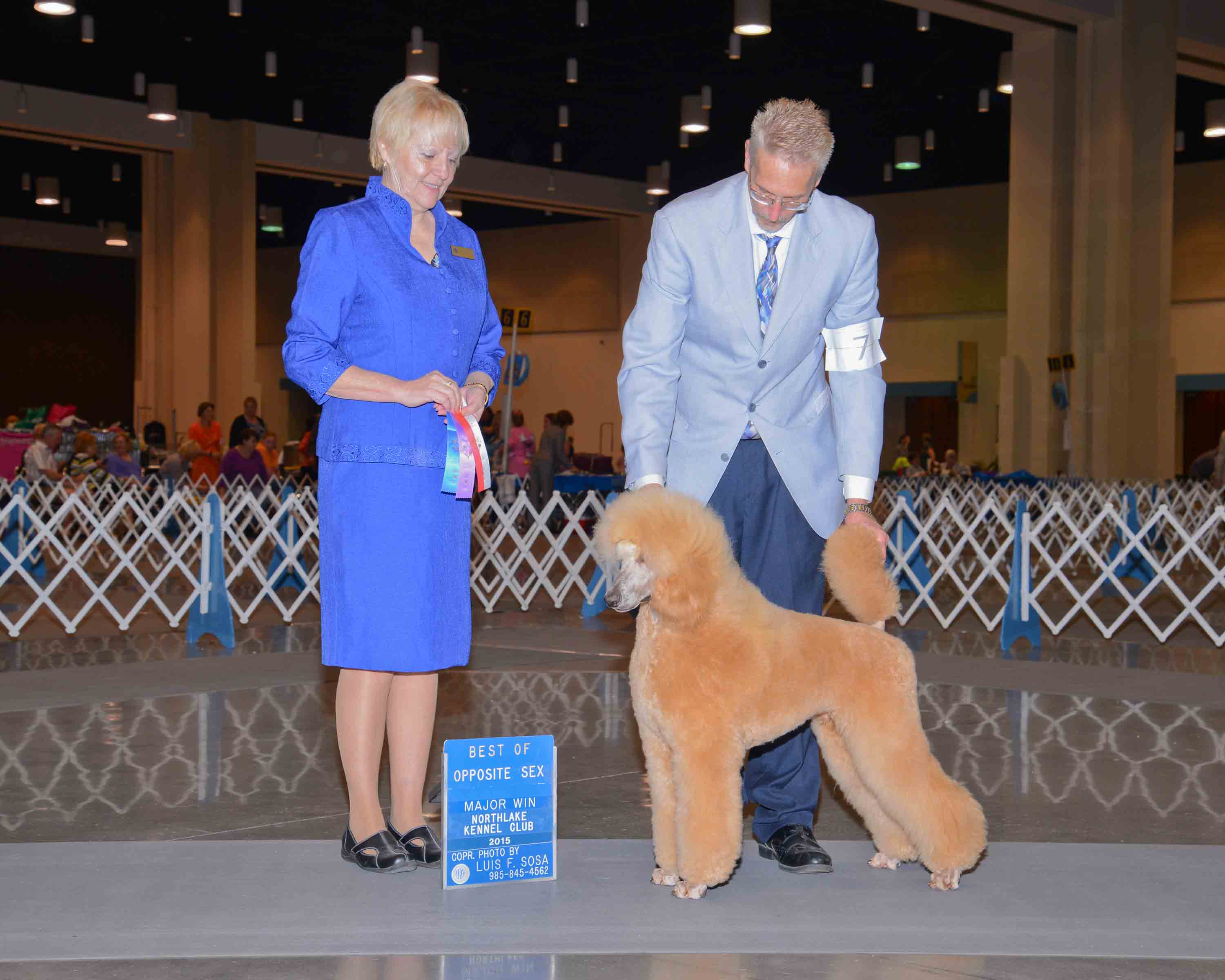 major win as a puppy