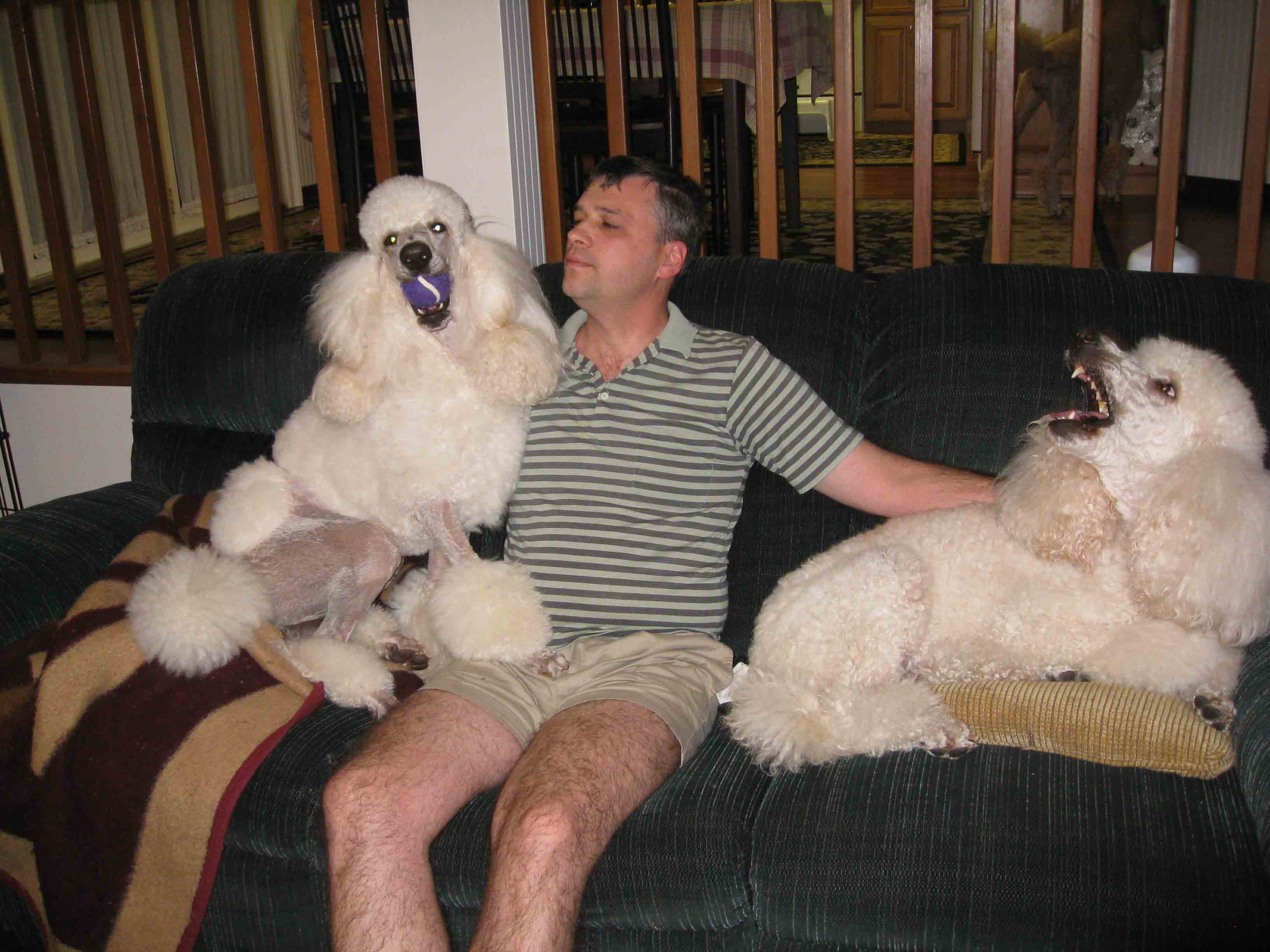 Vlad with Philippe and Karl