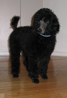 Lera at 3 months of age