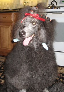 Hey guys! I have something on my mind!