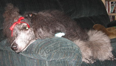 Me? Did something? No! I was here all the time...