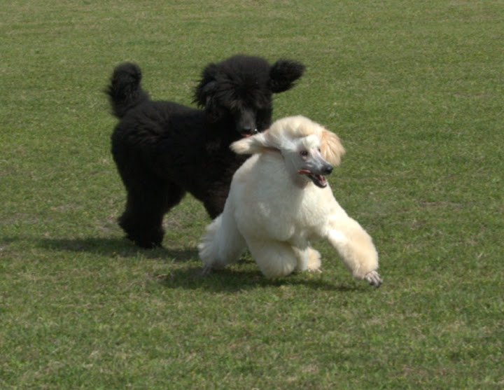 Liza and Ivan playing
