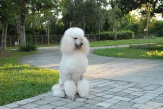 Liza controls her territory