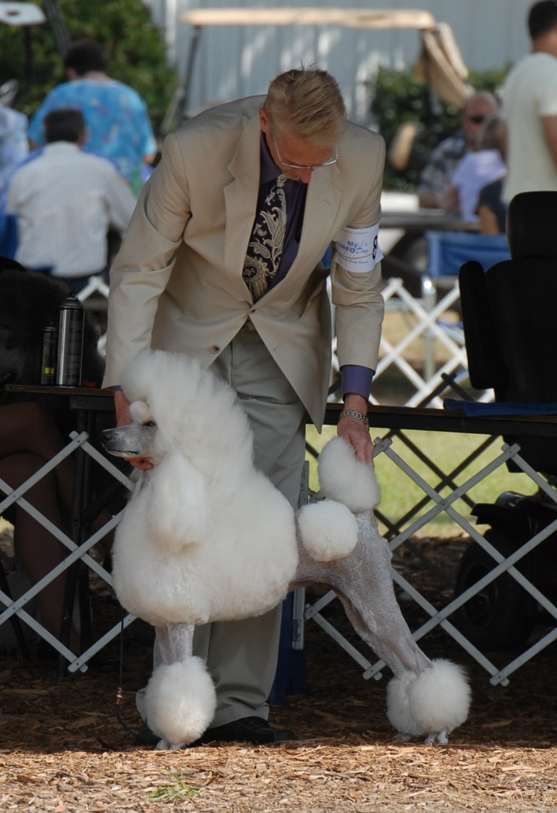 Masha in Continental trim 