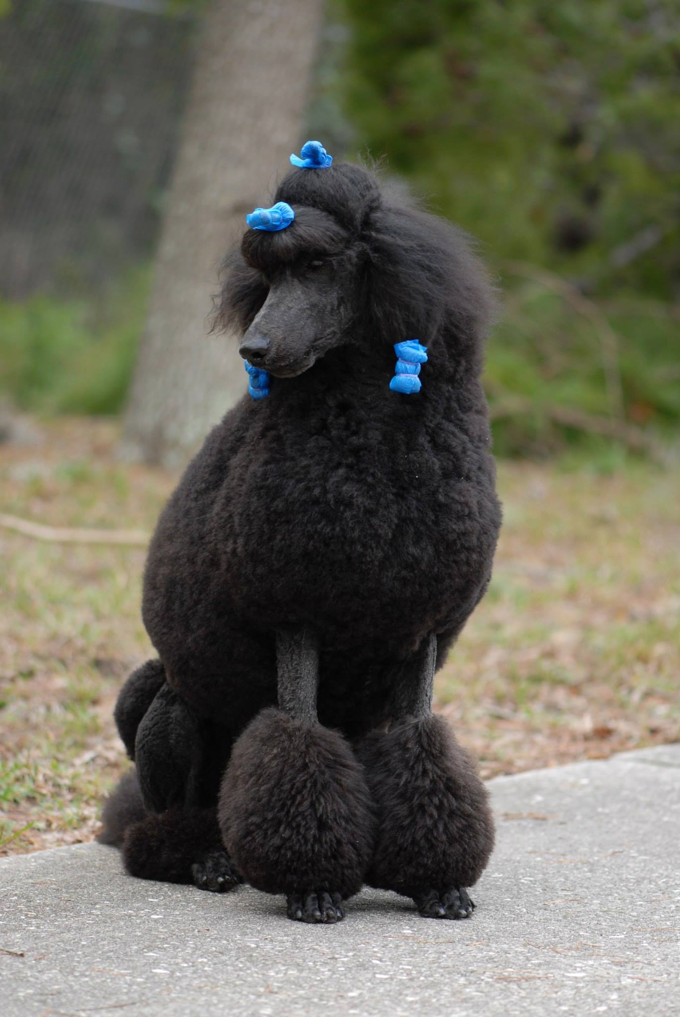 Matthew sitting pretty