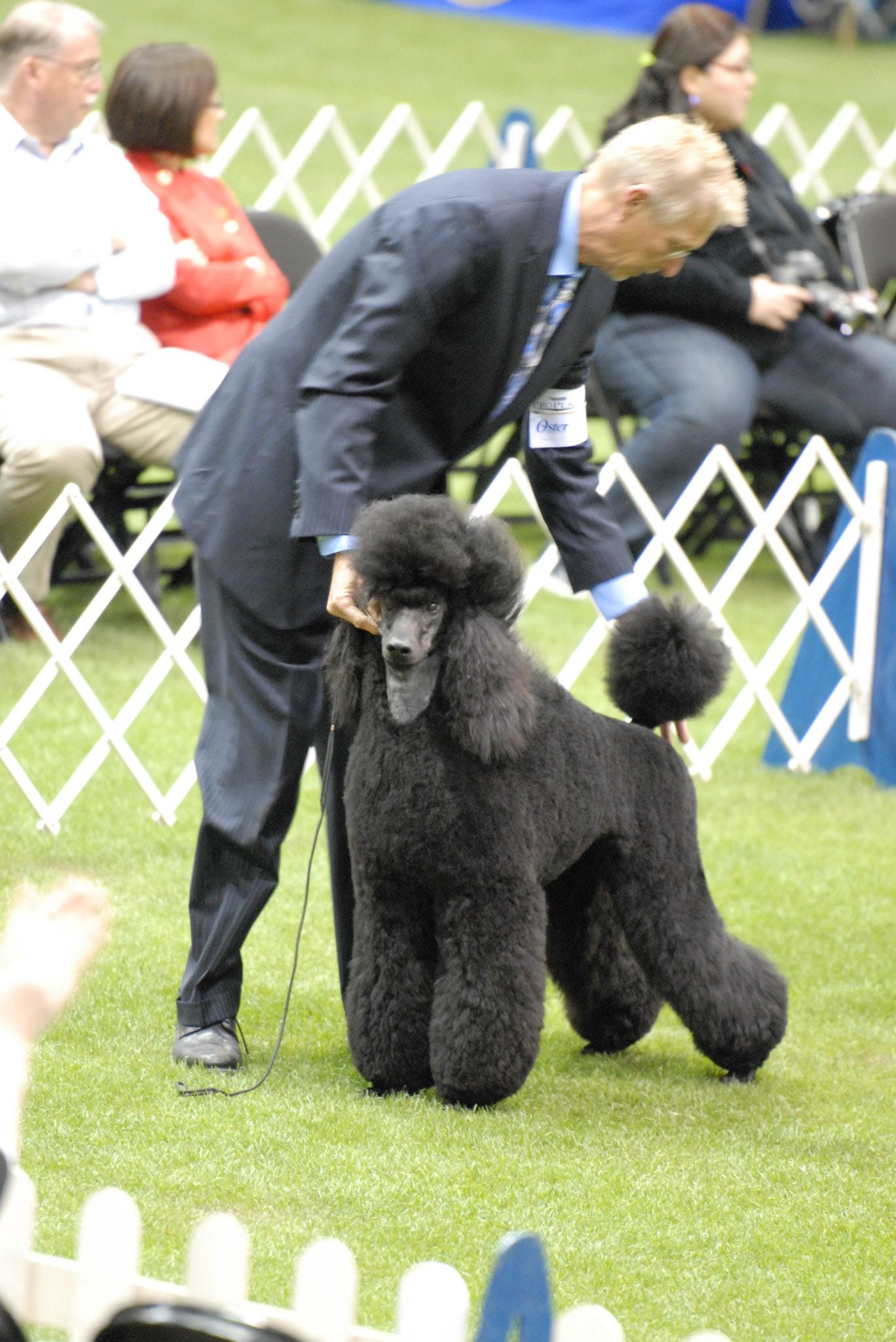 Matthew in Open class at PCA