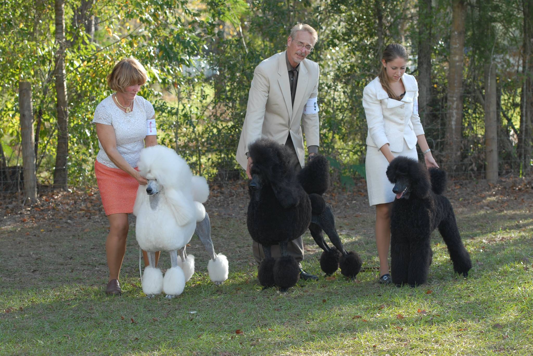 Matthew with Thomas and Sinatra