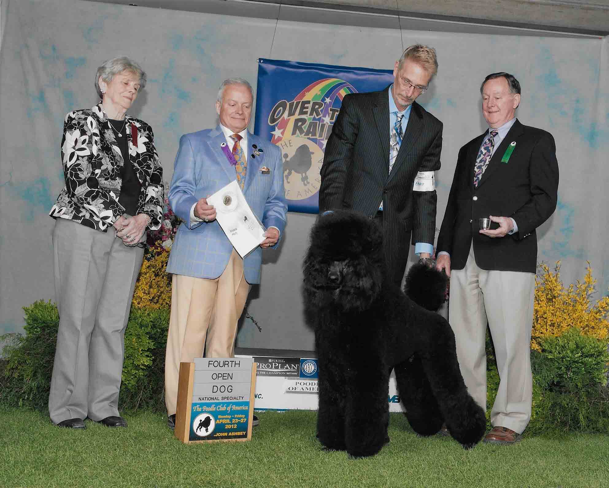 Matthew 4th Open Dog at PCA