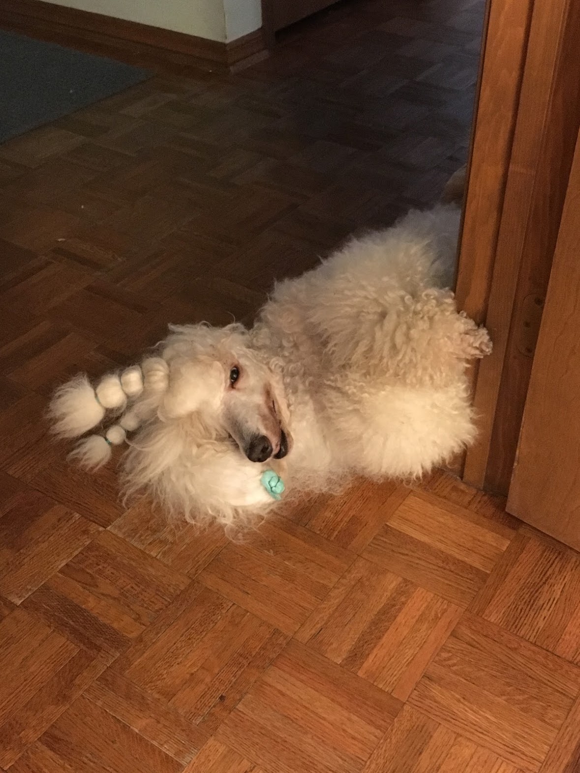 Peter behind the door