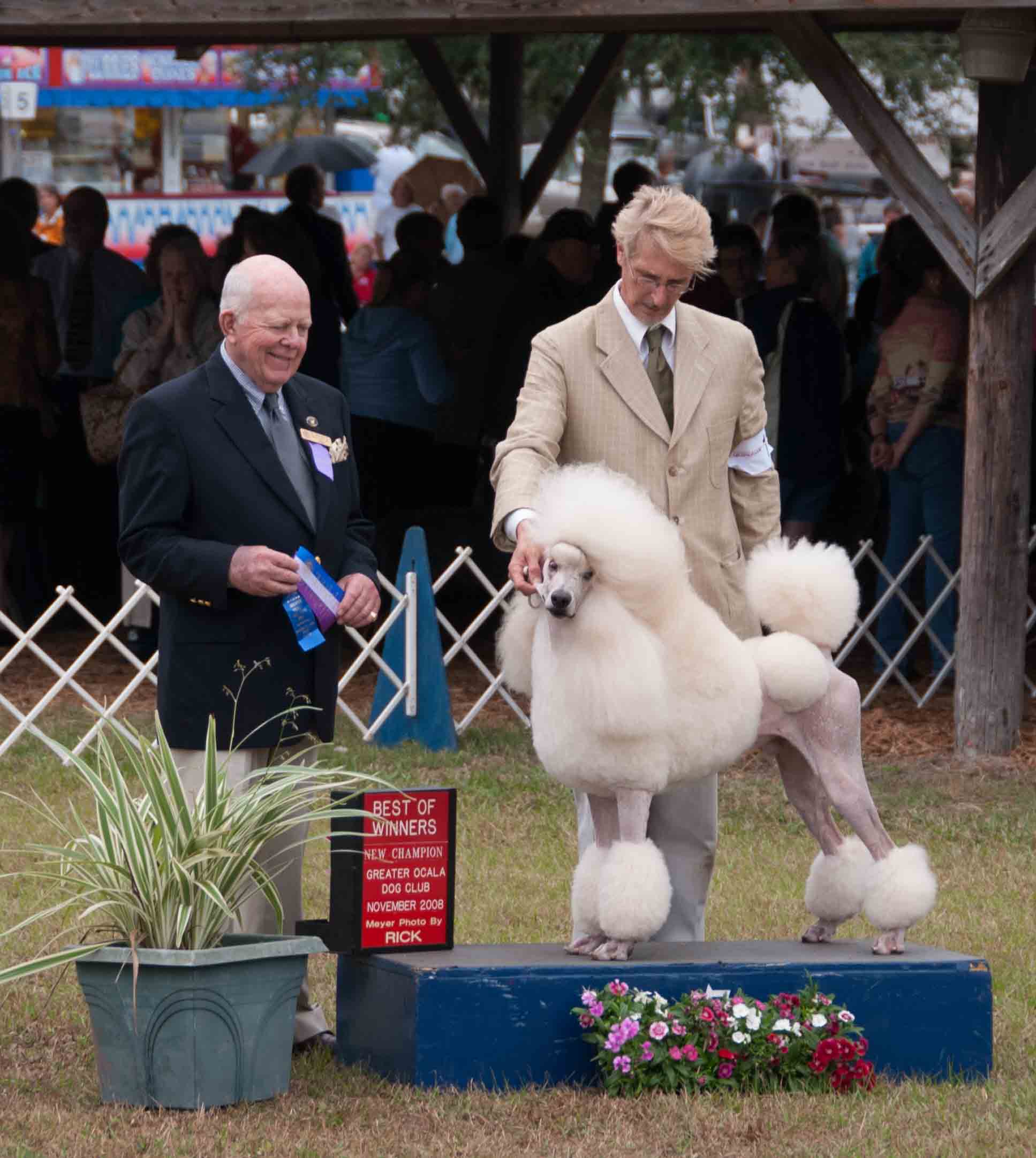 Champion Philippe with a judge
