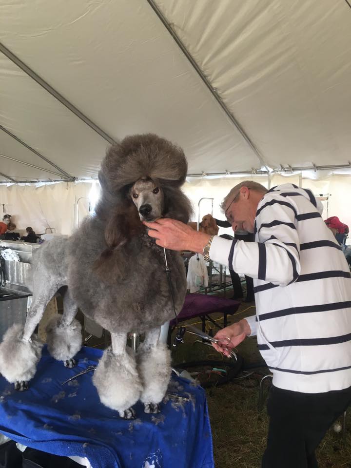 Mike Lobinske prepares Shura for the ring