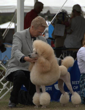 Taya stands for evaluation