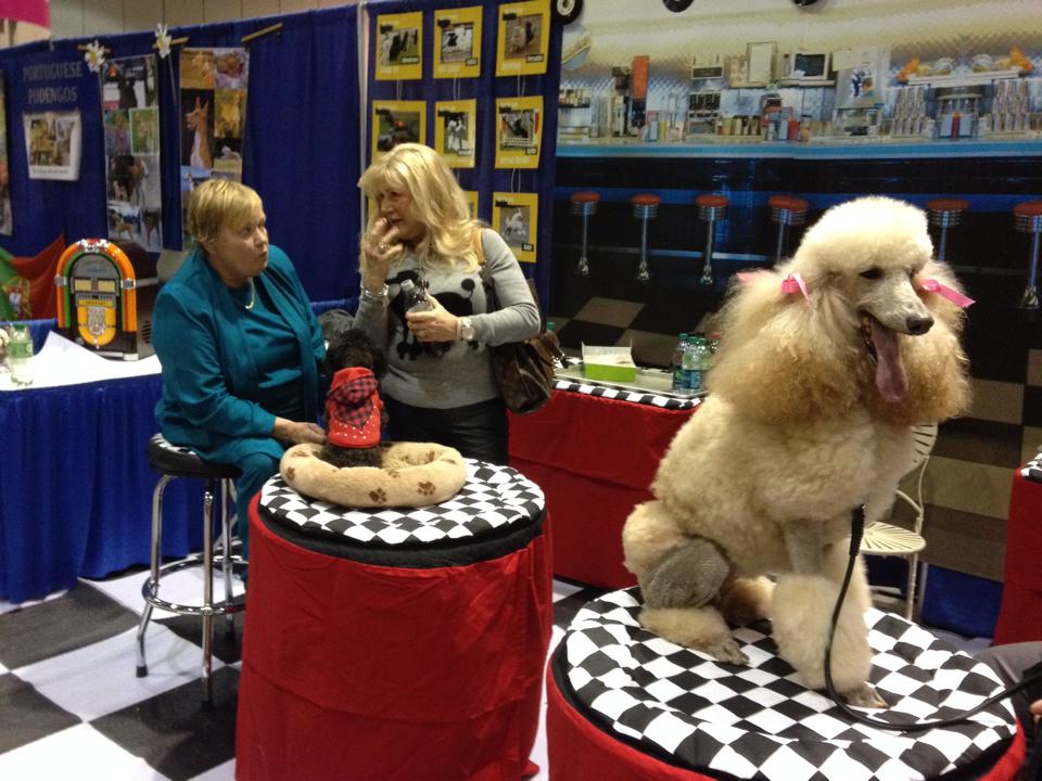 Taya on the table at PCA booth