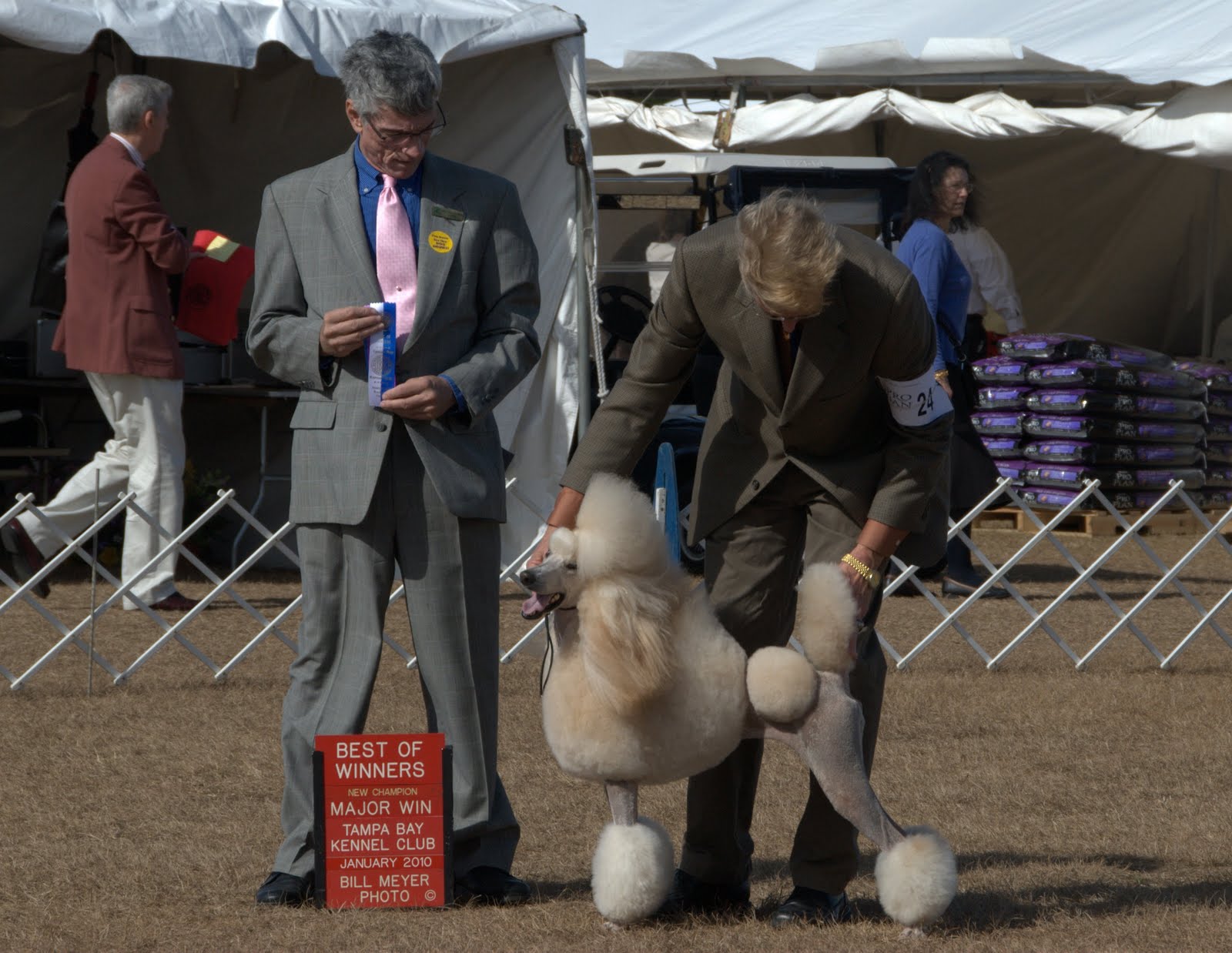 Taya is a New Champion