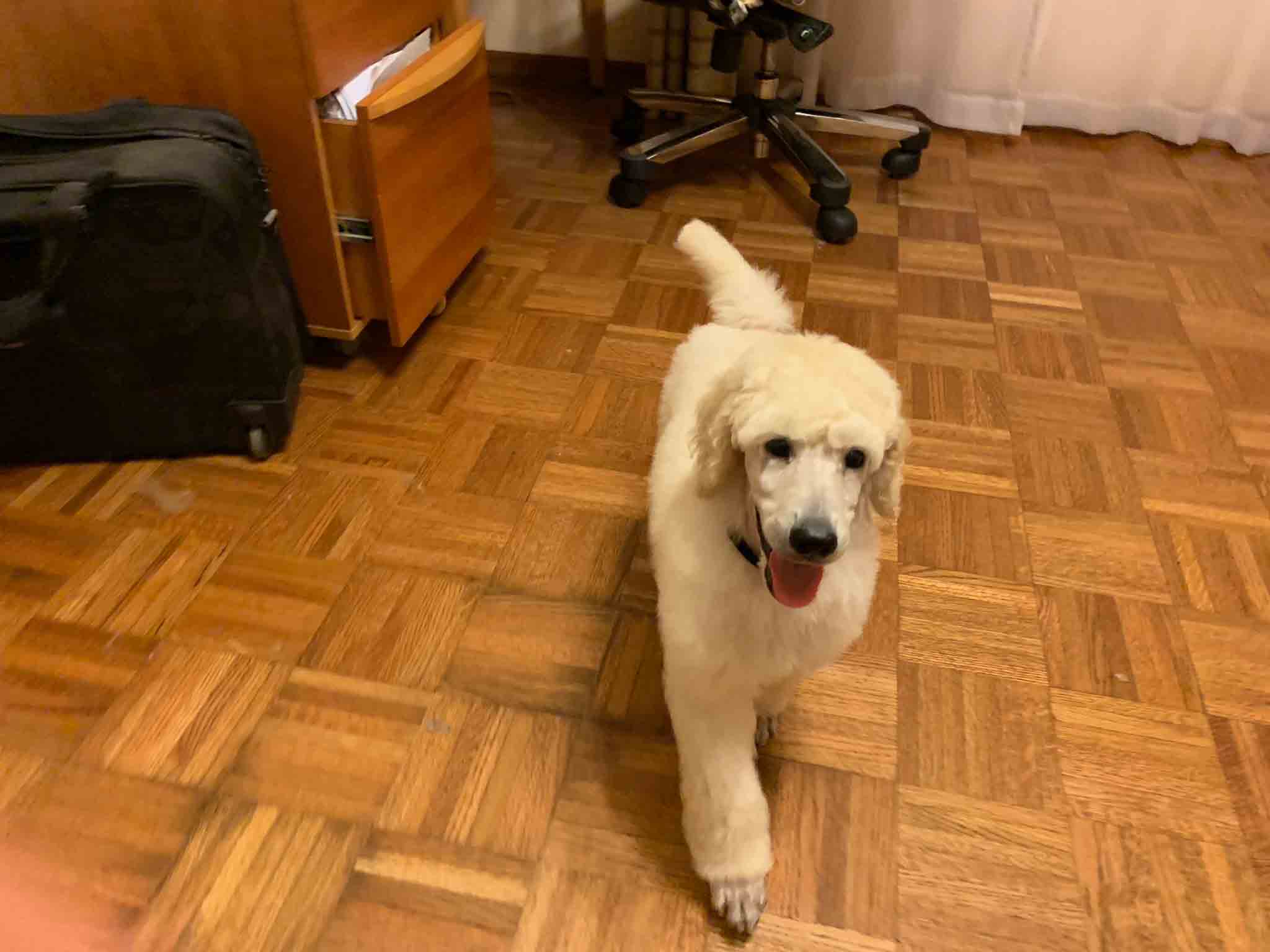 little Timmy on the move